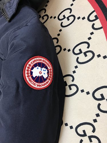 Canada Goose Women's Longline Hooded Puffer Coat